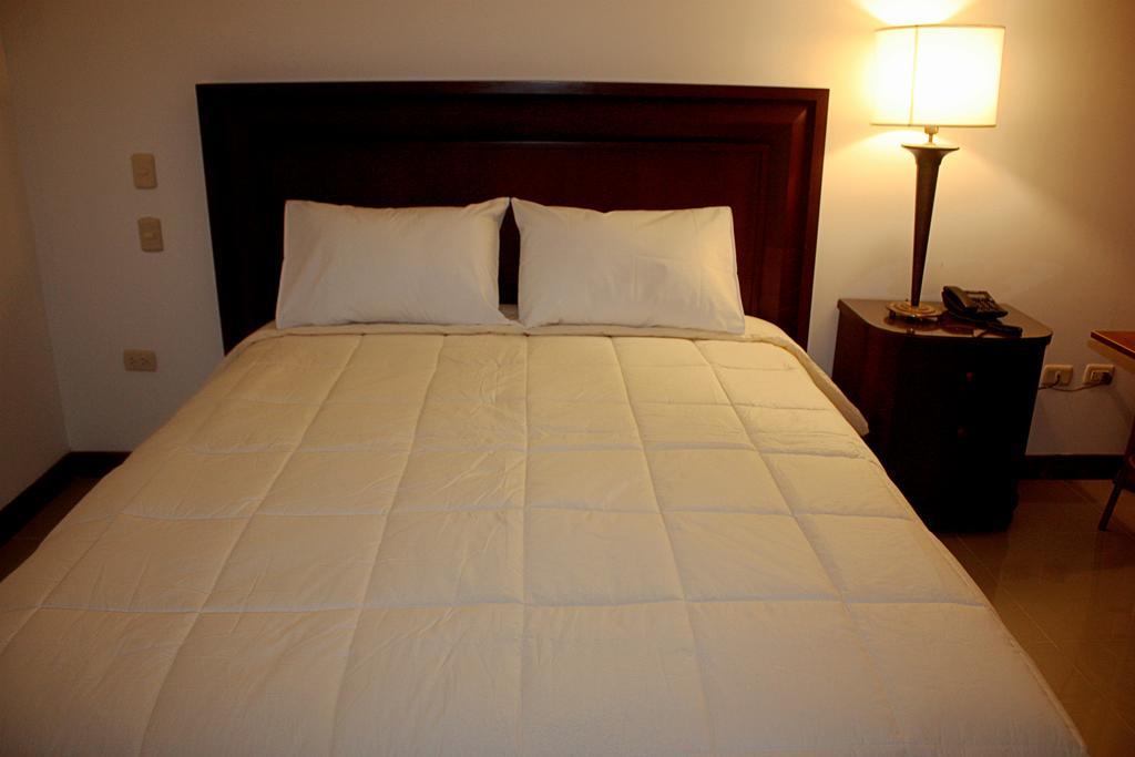 Mc Hotel Ica Dış mekan fotoğraf
